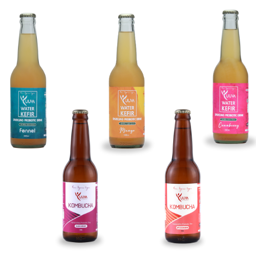 Kombucha + Water Kefir – 5 Bottle Combo (330 ml x 5)
