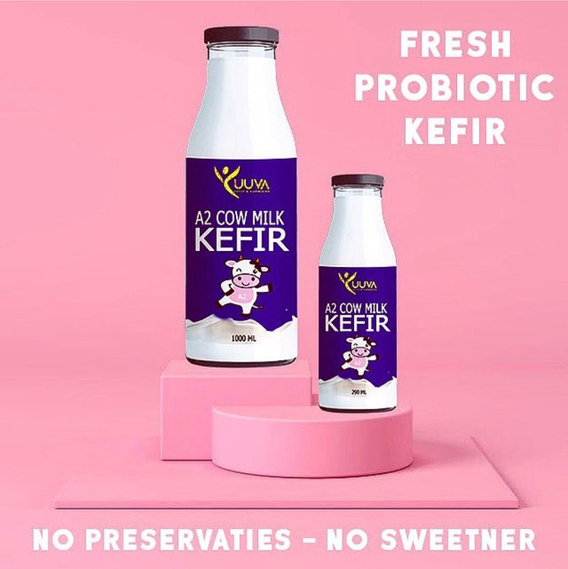 A2 Cow Milk Kefir (Delhi Only)